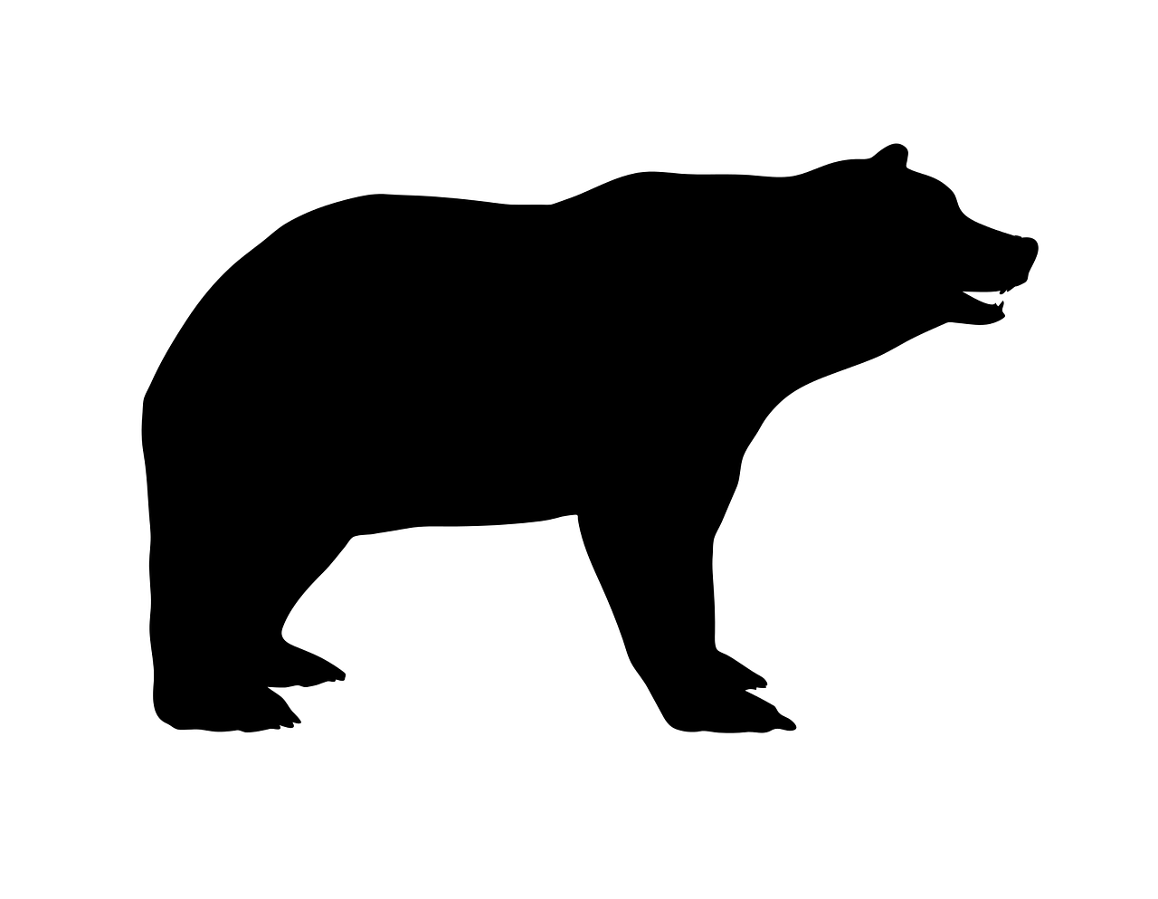 Reference image to draw